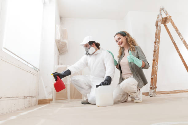 Best Commercial Mold Inspection  in Coing, AL